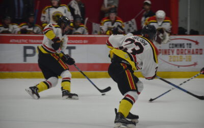 Knights Edge Out Black Bears 2-1