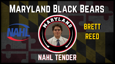 Black Bears Tender NAPHL Forward Brett Reed