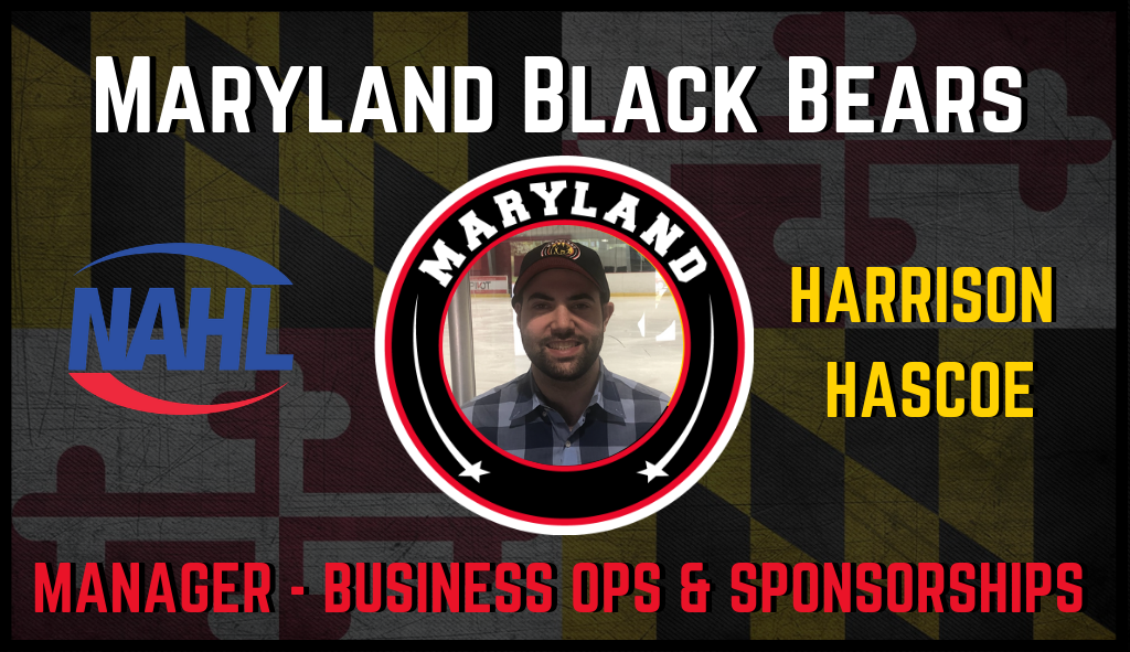 Black Bears Hire Harrison Hascoe as Manager of Business Operations and Sponsorship