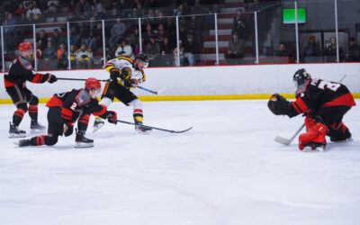 Titans Surge Past Black Bears