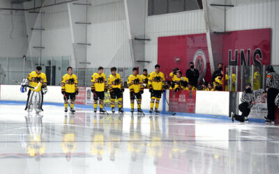 Black Bears Postpone Series Against Maine