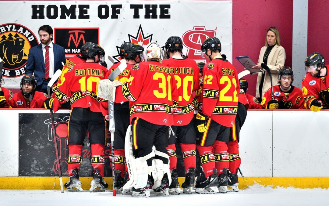 The Black Bears Shake Things Up Behind the Bench