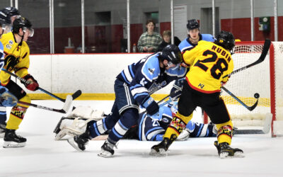 Series Preview: The Black Bears Head North to Face the Mountain Kings
