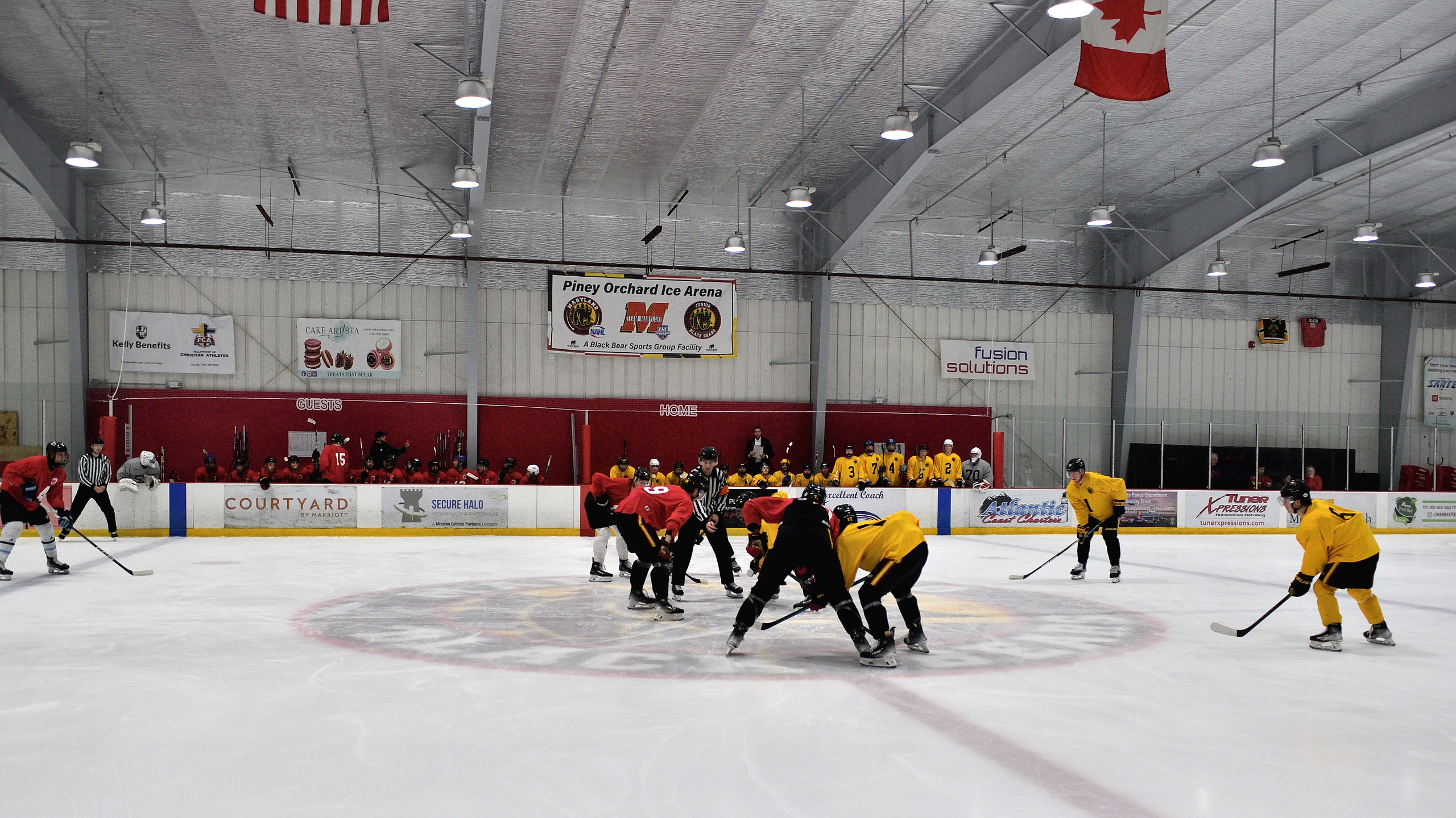 Main Camp faceoff