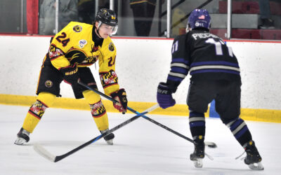 Denes and Defense Dominant in 3-0 Win Over Elmira