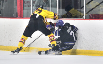 Series Preview: Black Bears Return to Defend the Den Against Aviators