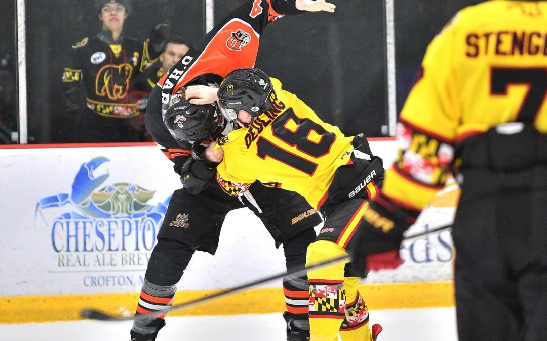 Series Preview: Maryland Looks to Start New Streak Against Danbury