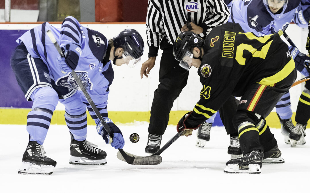 Series Preview: Black Bears Look to Topple Mountain Kings