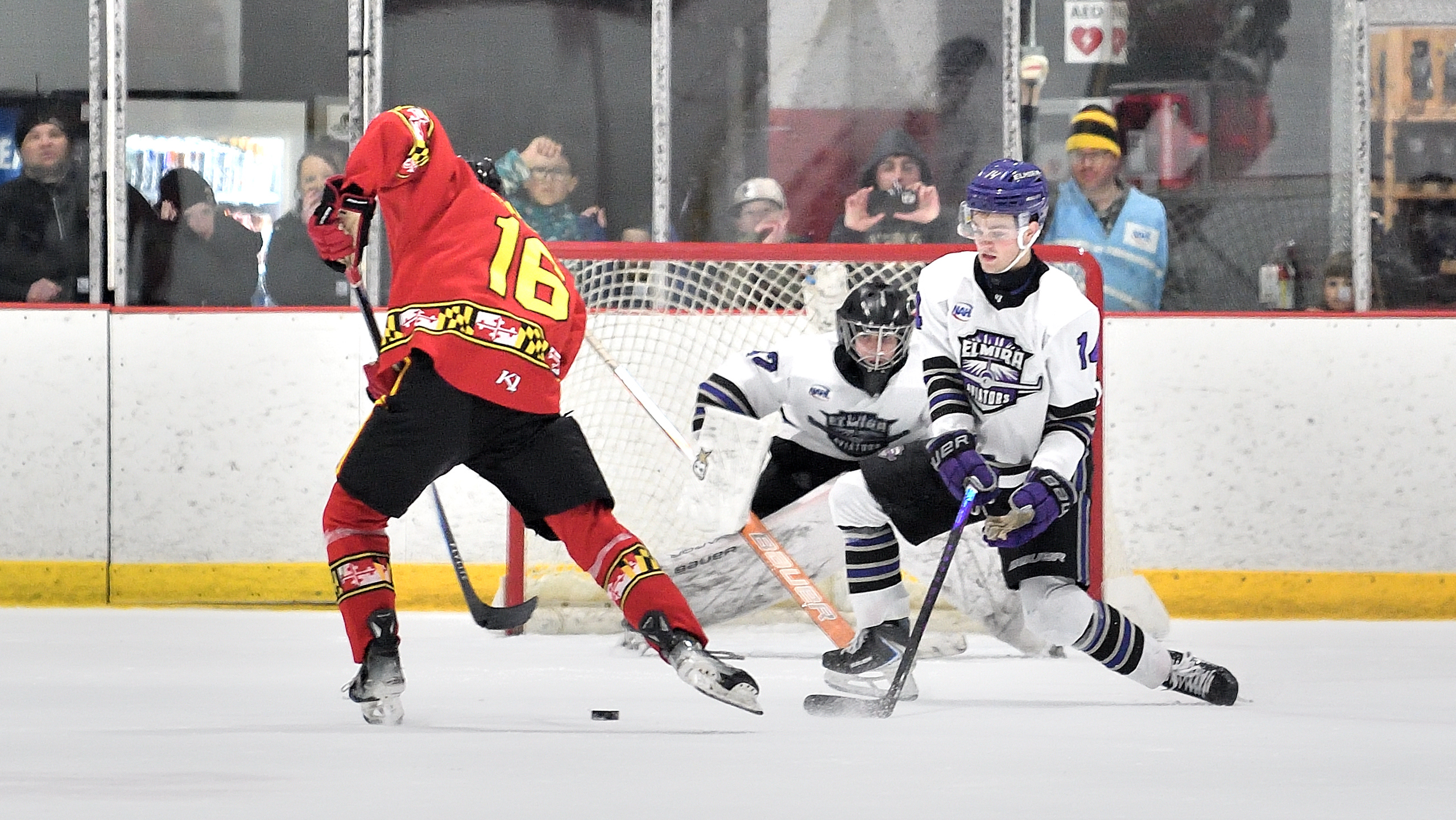 Black Bears vs. Aviators